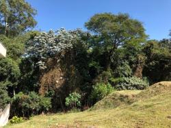 Terreno para Venda em Cotia - 5