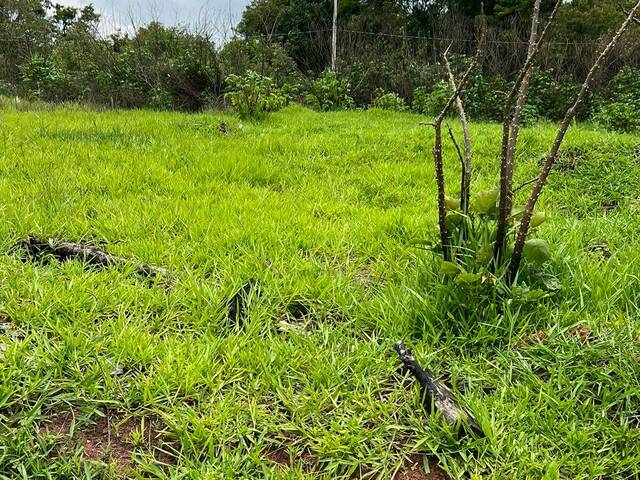 #TE0609 - Área para Venda em Cotia - SP - 2