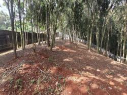 Terreno para Venda em Cotia - 5